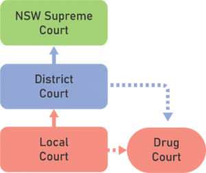 Drug Court | Rule of Law Education Centre